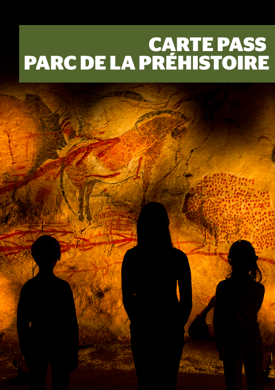 Pass parc.png