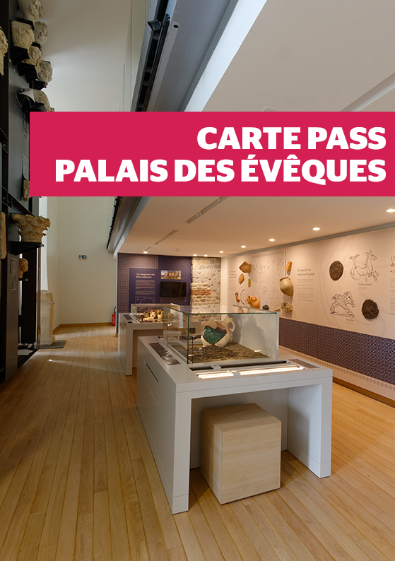 Pass palais.png